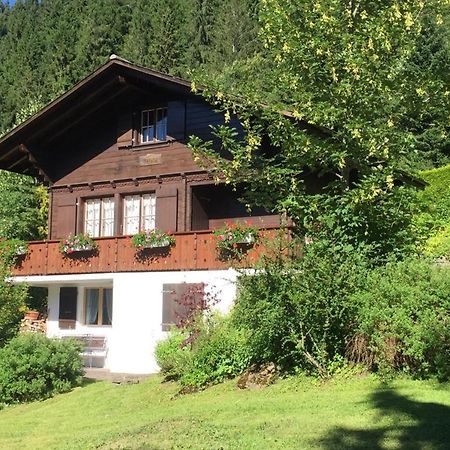 Ferienwohnung Betula Bad-Schwarzsee Exteriör bild
